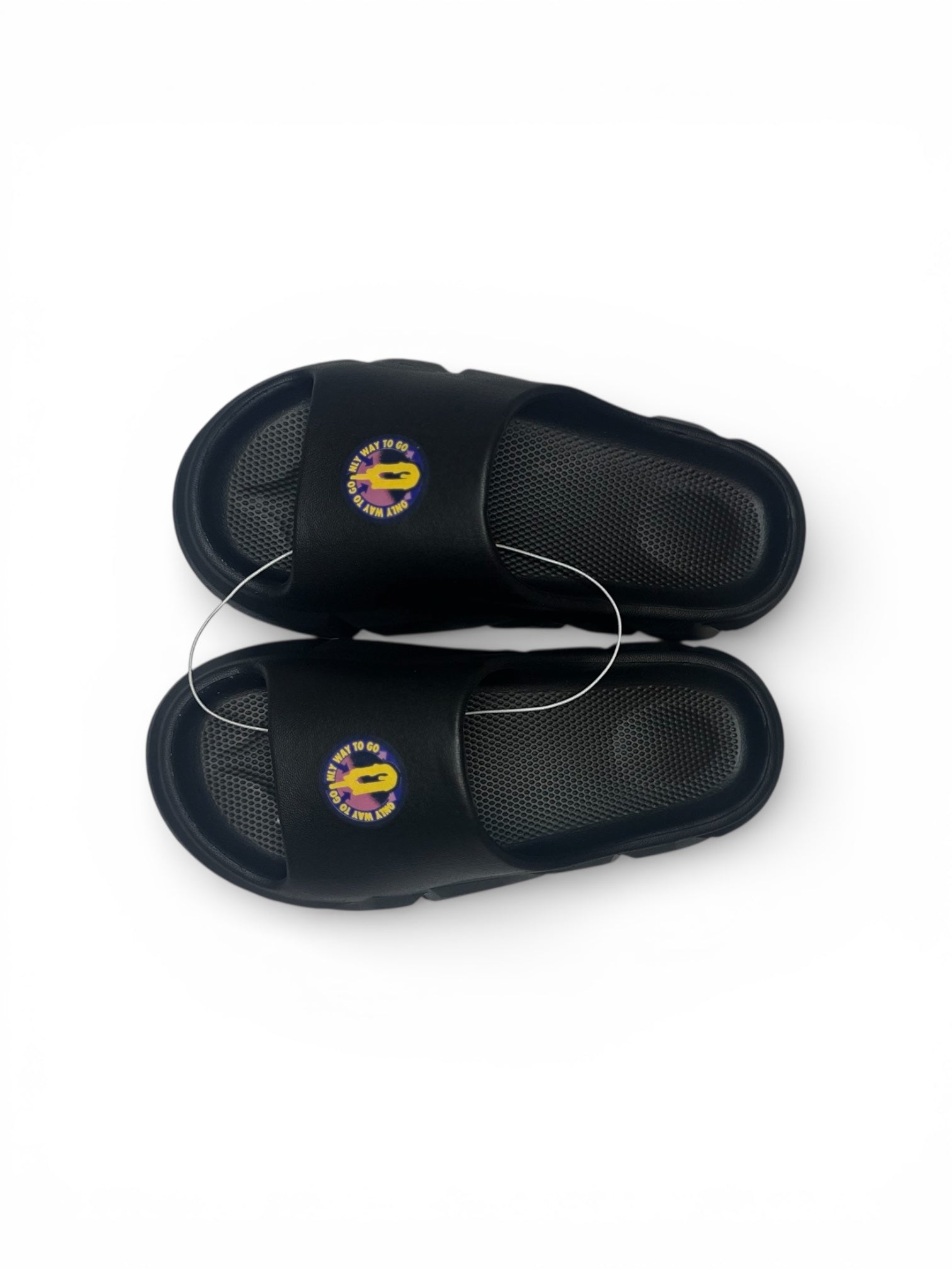 Slides w/ Color logo
